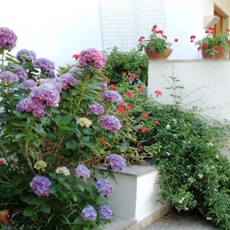Il Giardino Di Anna 트레카세