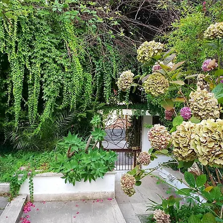 Bed & Breakfast Il Giardino Di Anna Trecase