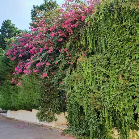 Bed & Breakfast Il Giardino Di Anna