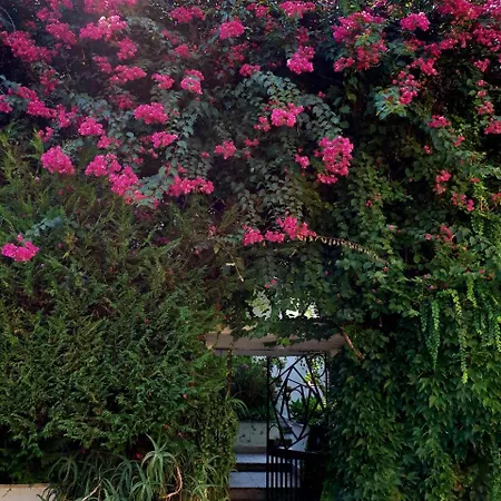 Il Giardino Di Anna 4*