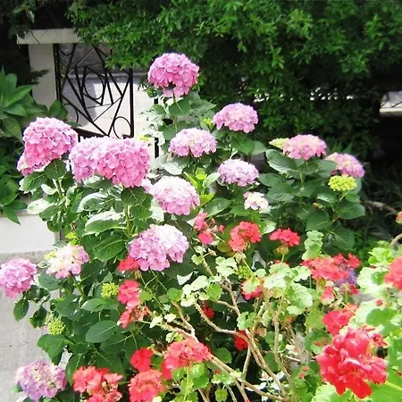Il Giardino Di Anna Panzió 3*