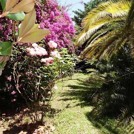 Il Giardino Di Anna Panzió 3*